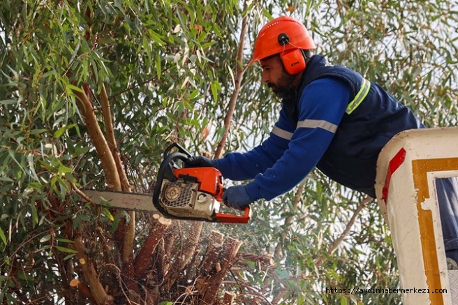 BUCA'DA BUDAMA SEFERBERLİĞİ