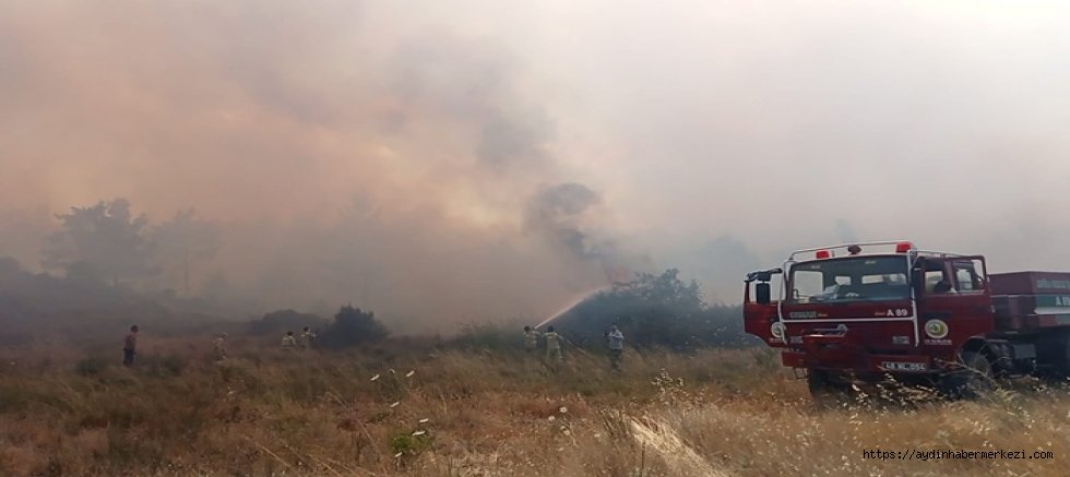 Aydın, İstanbul, Muğla, İzmir, ve Balıkesir Orman yangınları sürüyor