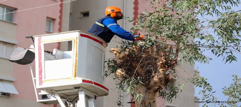BUCA'DA BUDAMA SEFERBERLİĞİ