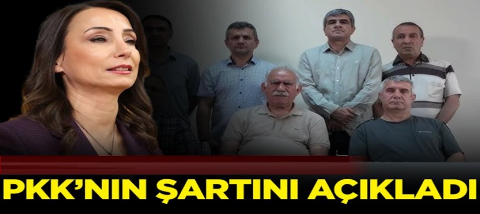 DEM Partili Hatimoğulları açıkladı: PKK, Öcalan'ın özgürlüğünü istiyor