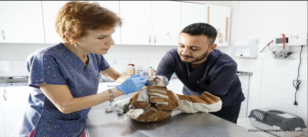 Konak’ta sevimli dostlar değer görüyor