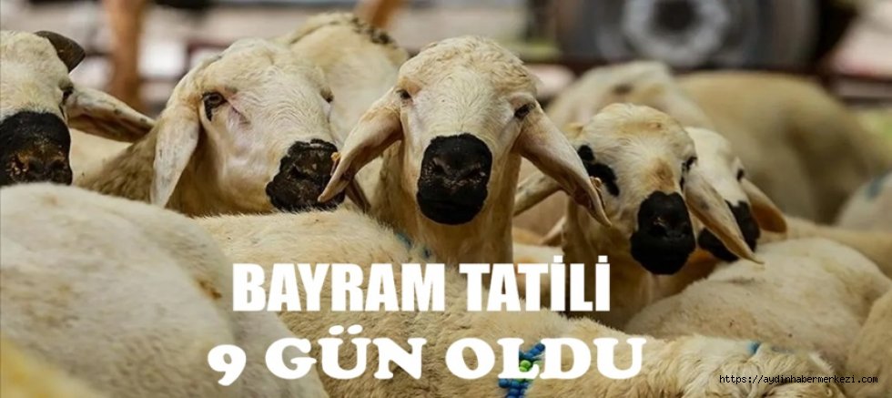 Kurban Bayramı tatili 9 gün oldu