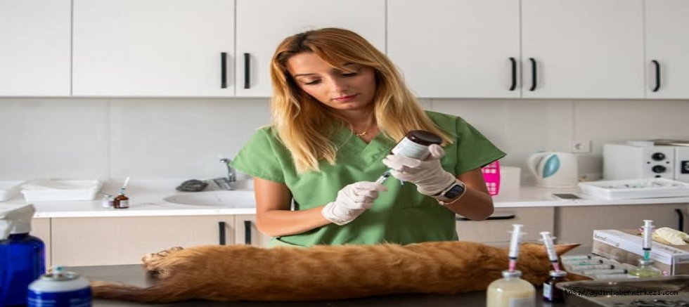 Kuşadası Belediyesi Kısırlaştırmada En Başarılı Kent Oldu