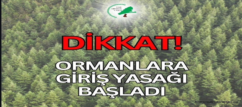 Ormanlık alanlara girişler 31 Ekim’e kadar yasaklandı