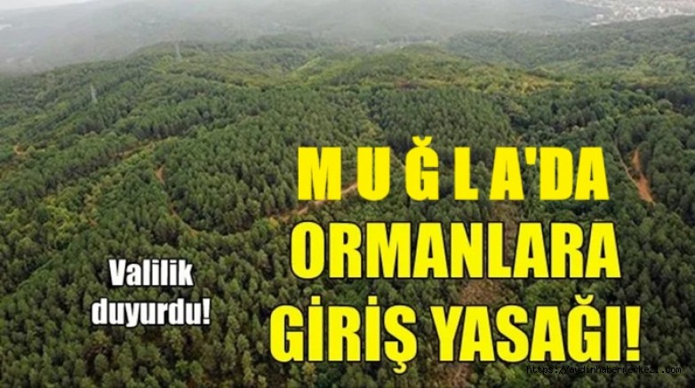 Muğla'da ormanlara girişler yasaklandı