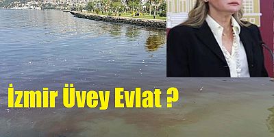 'AKP'li İzmit'e var CHP'li İzmir'e yok'