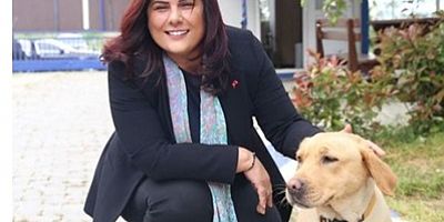 Aydın Büyükşehir’den sokak hayvanları için 