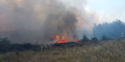 Aydın, İstanbul, Muğla, İzmir, ve Balıkesir Orman yangınları sürüyor