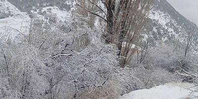 Aydın’ın yüksek kesimlerinde kar etkili oldu