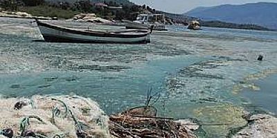 Bafa Gölü Kirlilik ve Kuraklık  SOS veriyor