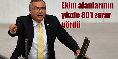 CHP’li Bülbül’den zirai don tepkisi