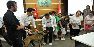 Down sendromlu çocuklara temel afet bilinci eğitimi