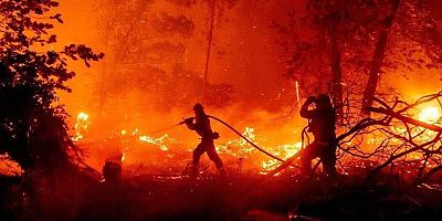 Germencik Dağyeni’nde Orman Yangını Çıktı