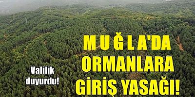 Muğla'da ormanlara girişler yasaklandı