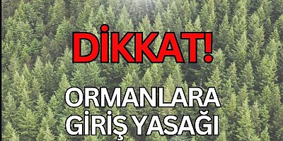 Ormanlık alanlara girişler 31 Ekim’e kadar yasaklandı