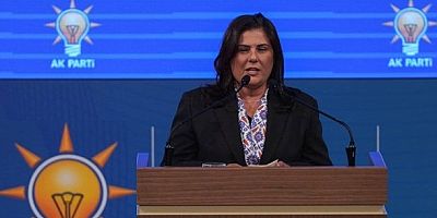 ÖZLEM ÇERÇİOĞLU İÇİN NEDEN ADIM ATILMADI