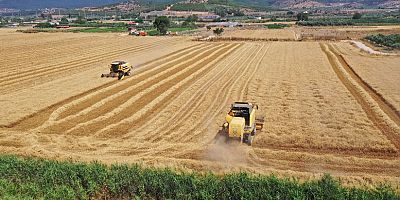 Tarıma destek açıklandı