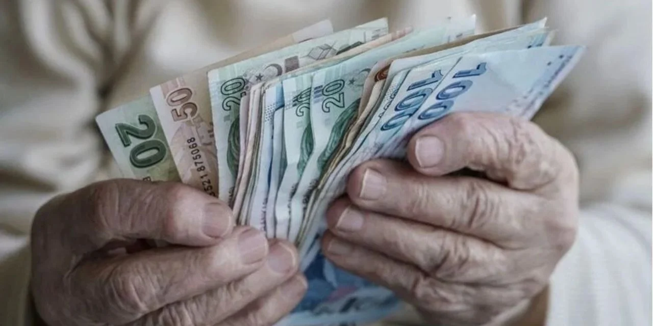 Vatandaşlık Maaşından Kimler yararlanabilecek